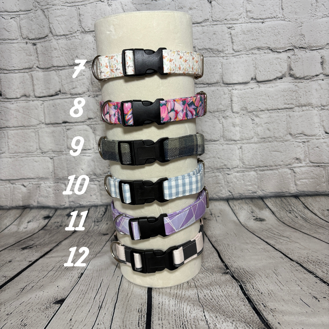 Pet Collar - Medium