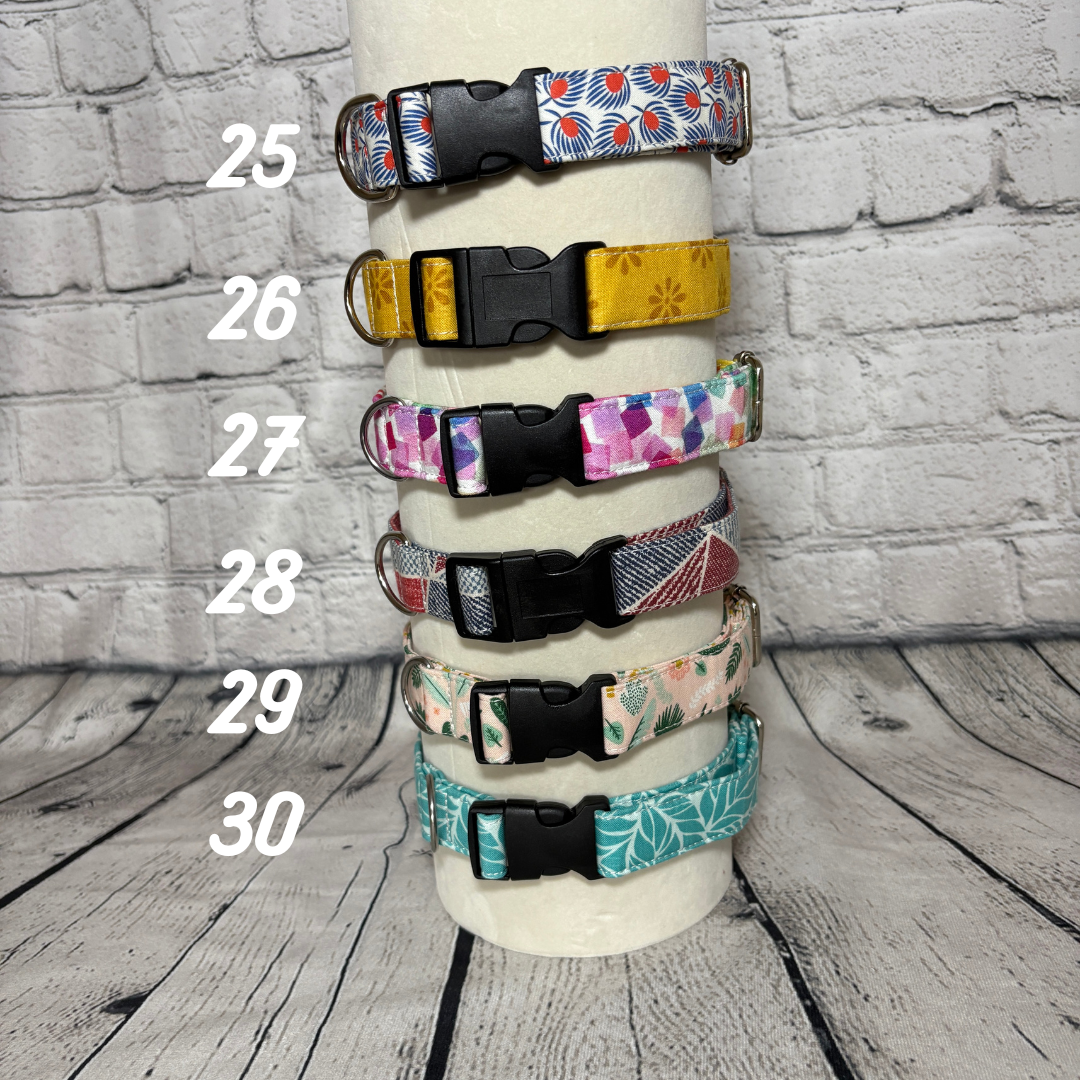 Pet Collar - Medium